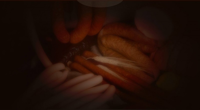 Andy's Deli Online Store